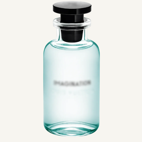 Imagination EDP